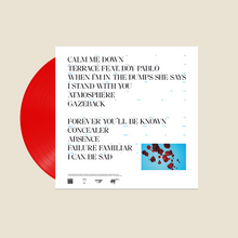 Load image into Gallery viewer, Failure Familiar (LP)