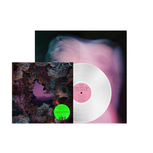 Load image into Gallery viewer, The Land Beyond The Light (LP)