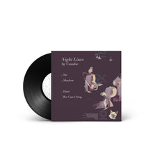 Load image into Gallery viewer, Night Lines (10")