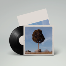 Load image into Gallery viewer, Sunday Painter (LP)