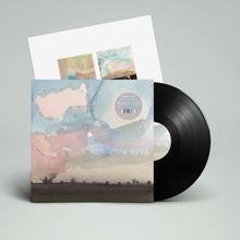 Load image into Gallery viewer, last night in america (LP)