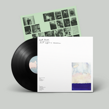 Load image into Gallery viewer, last night in america (LP)