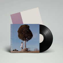 Load image into Gallery viewer, Sunday Painter (LP)