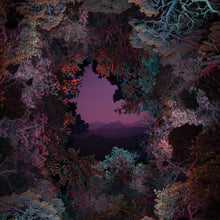 Load image into Gallery viewer, The Land Beyond The Light (LP)