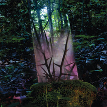 Load image into Gallery viewer, Stealth of Days (LP)