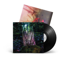 Load image into Gallery viewer, Stealth of Days (LP)